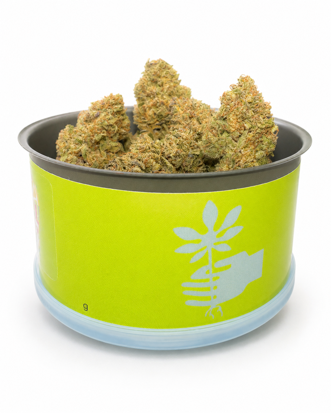 Tropical Fruit Scoop