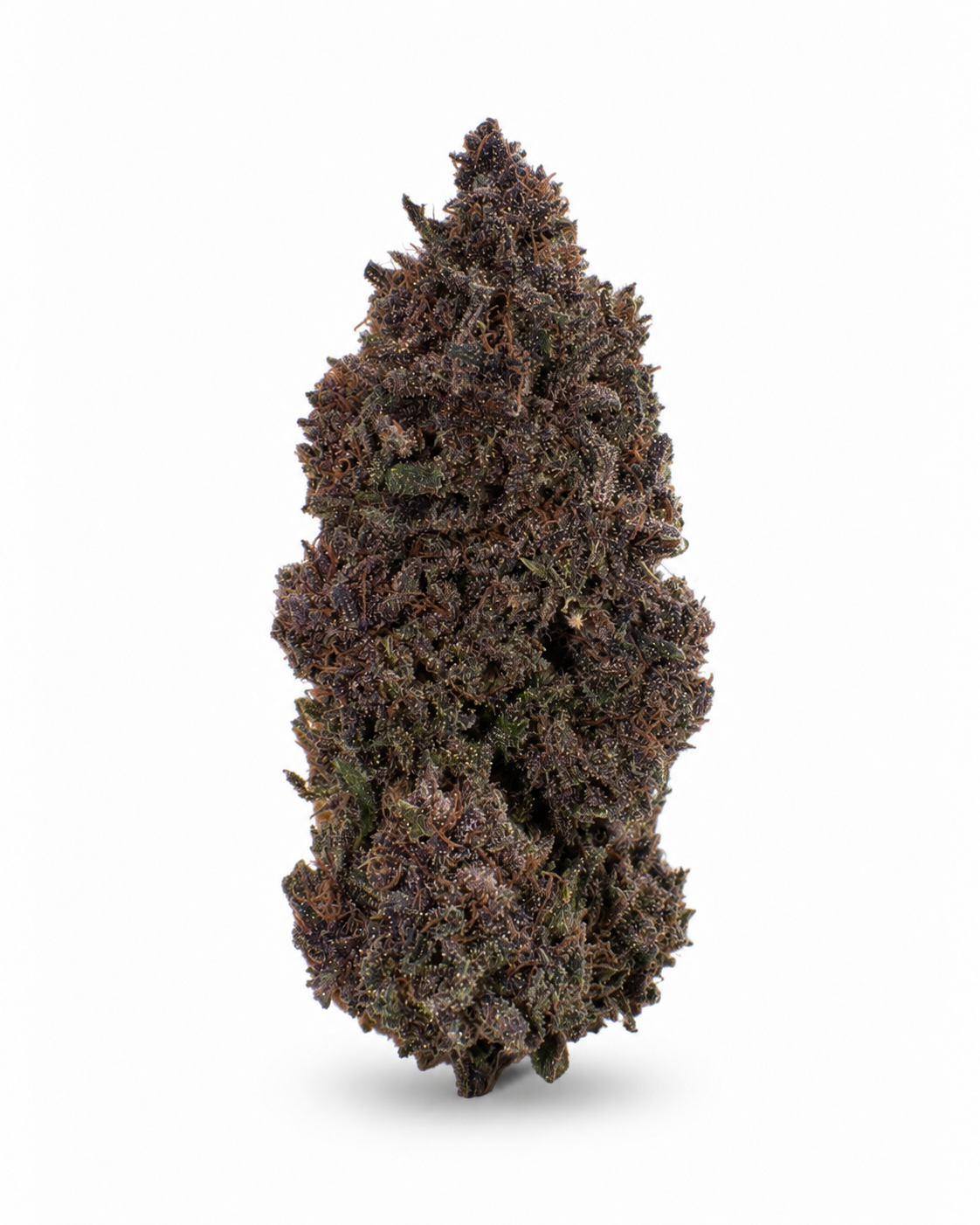 Orange Fritter