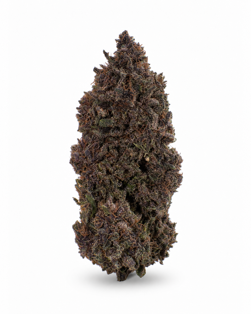 Orange Fritter